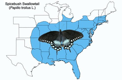 Figure 2. Spicebush swallowtail, Papilio troilus L., distribution map.
