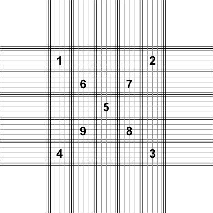 Figure 4. Diagram of the viewing grid of a hemocytometer. Note that there are 25 blocks that (bordered on all sides by 3 lines) each contains 16 smaller squares. The total number of the Nosema spores present in five of these blocks should counted. We have labeled 9 of the blocks in this diagram and suggest that you count spores in five of these blocks as we describe in the text above (step 11 of the Nosema Quantification section).