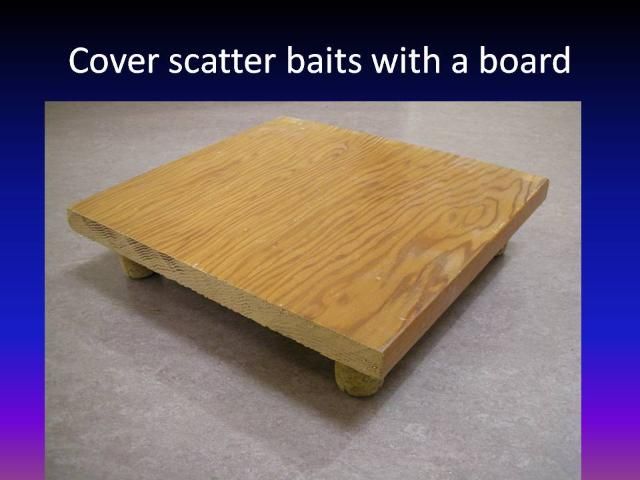 Figure 14. Scatter or granular baits should be covered with a simple protective cover. This protects the bait from rain, irrigation, sunlight, and wildlife. Scraps of plywood, lumber, HardieBoard, asphalt shingles, or other weather-proof exterior materials can be used to make these bait covers.