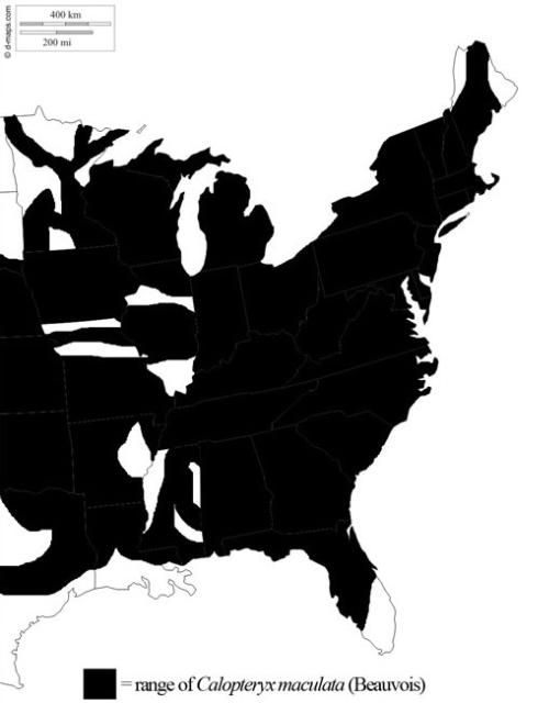 Figure 5. Geographic range of the ebony jewelwing, Calopteryx maculata (Beauvois), in the United States.