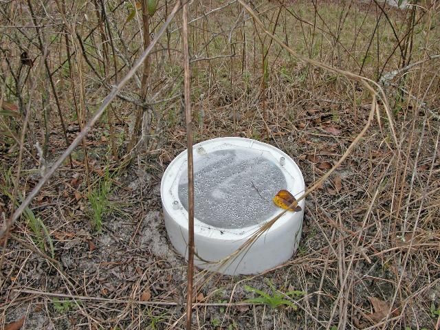 Figure 6. White bucket trap.