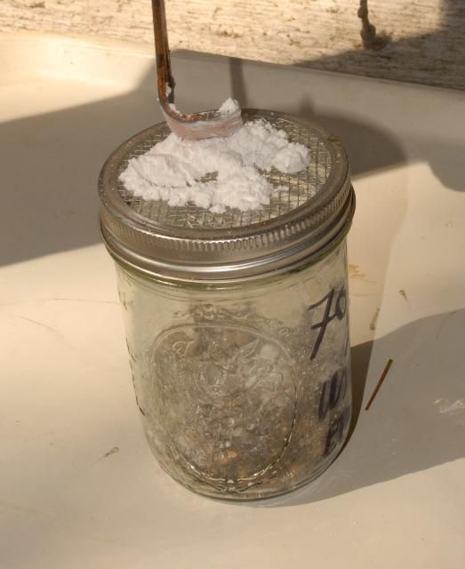 Figure 5. Powdered sugar being applied to a live bee sample.
