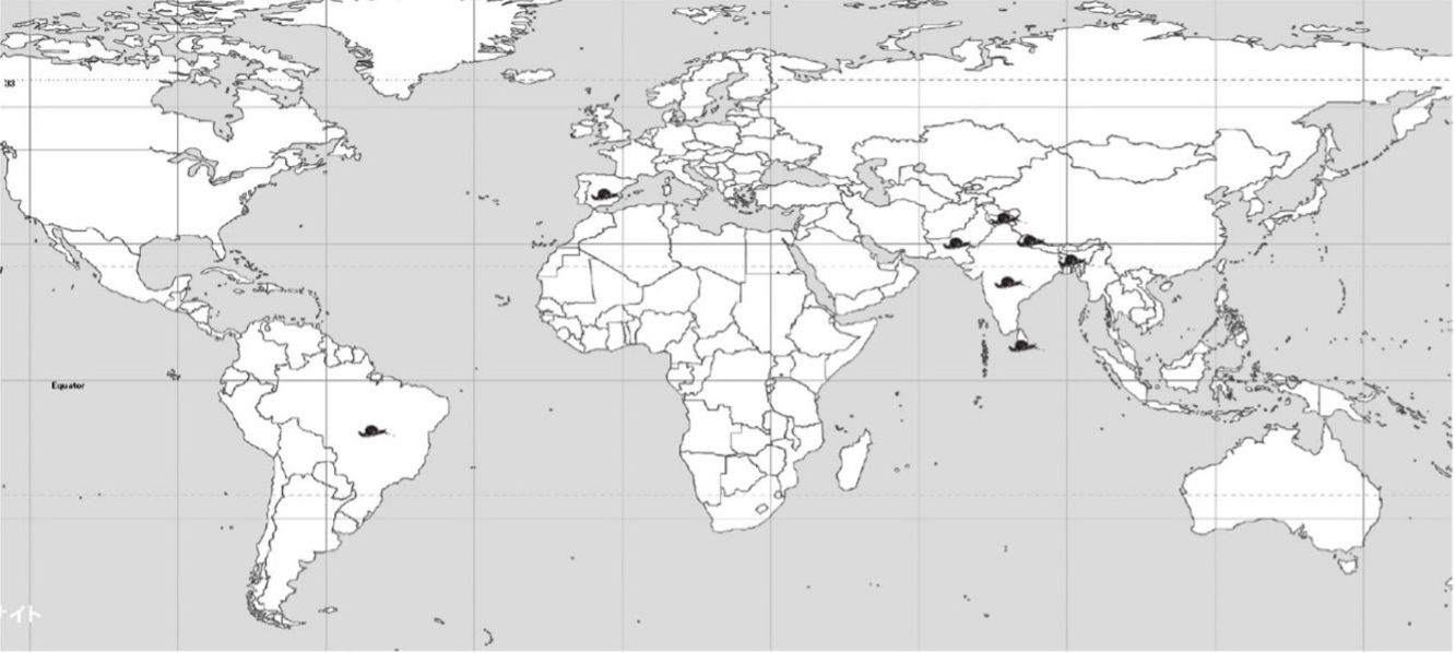 Distribución mundial del caracol cola de cuerno (Macrochlamys indica Benson).