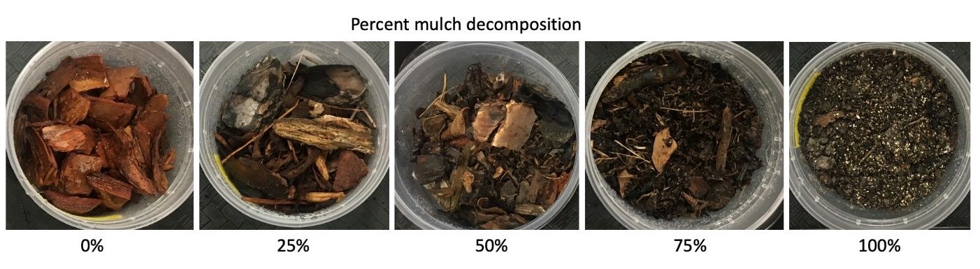 Mulch decomposition rates shown as a percentage.