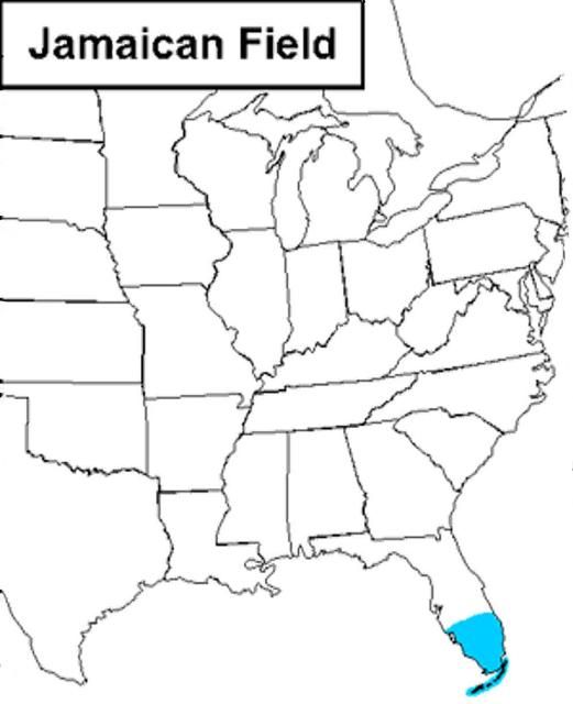 Figure 1. Distribution of Jamaican field cricket in the United States.