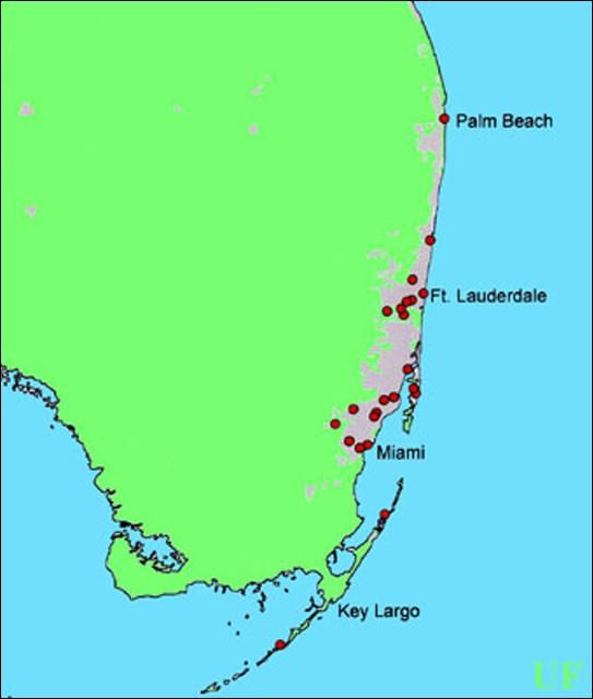 Figure 1. Collection sites of the termite Prorhinotermes simplex (Hagen) in Florida (records from 1985–2002).