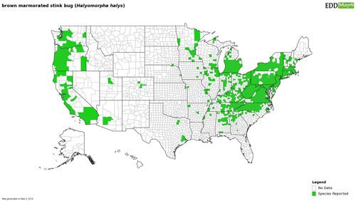 Figure 2. Distribution of the brown marmorated stink bug, Halyomorpha halys (Stål), in the United States based on reports submitted to Eddmaps.org, hosted by the University of Georgia—Center for Invasive Species and Ecosystem Health.