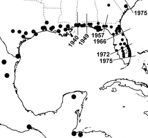 Figure 4. Pattern of migration of Plecia nearctica from Central America to the southeastern US.