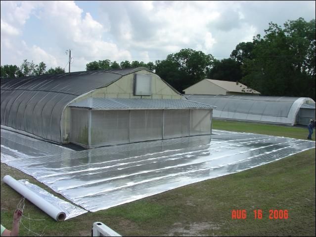 Figure 3. Metalized mulch application for greenhouse.