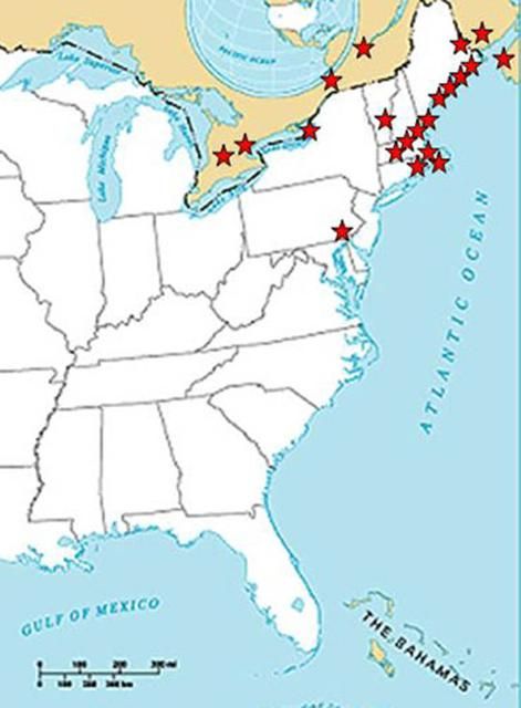Figure 2. Distribution of the European fire ant, Myrmica rubra Linnaeus, in the United States and Canada. This information is based on the published literature and surveys conducted between 2002 and 2004.