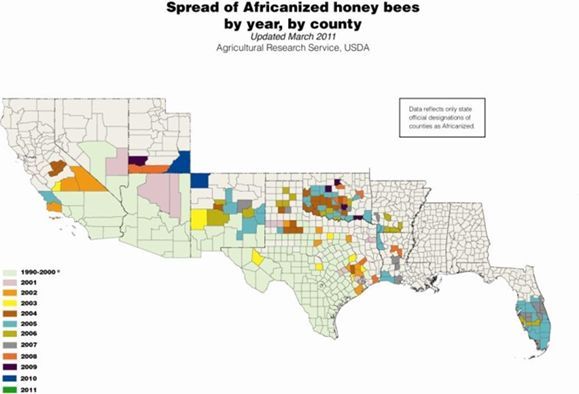 Figure 2b. Spread of the Africanized honey bees in the US by year, by county. http://www.ars.usda.gov/research/docs.htm?docid=11059&page=6