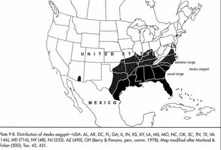 Figure 3. Distribution of the yellow fever mosquito, Aedes aegypti (Linnaeus), in the United States as of 2005.