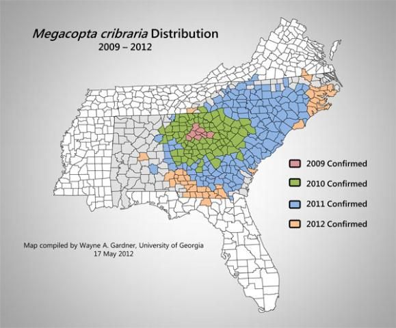 Figure 2. The current distribution of the bean plataspid, Megacopta cribraria (Fabricius), in the United States as of May 2012.