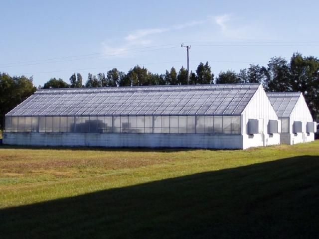 Figure 2. Greenhouse.
