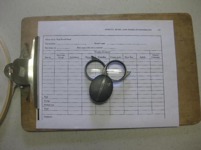 Figure 7. A scouting sheet and hand lens are fundamental for pest monitoring.