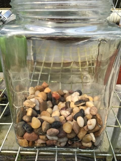 Figure 2. Line the bottom of the container with gravel.