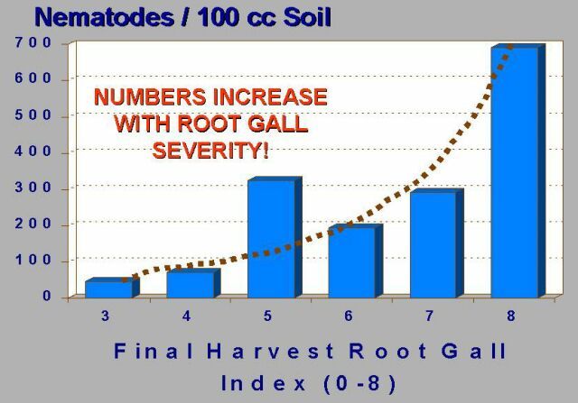 Figure 14. Generalized relationship between the number of root-knot nematode juveniles in soil based on the level and severity of plant root galling.