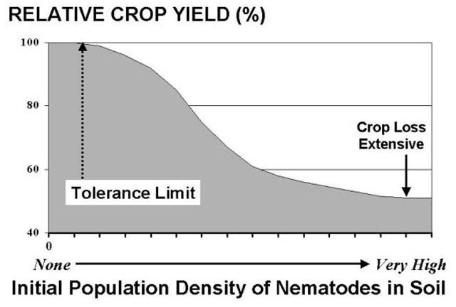 Figure 3. Typical nematode induced crop damage relationship in which crop yields, expressed as a percentage of yields that would be obtained in the absence of nematodes, decline with increased population density of nematodes in soil. The tolerance level is identified as the initial or minimal soil population density at which crop damage is first observed.