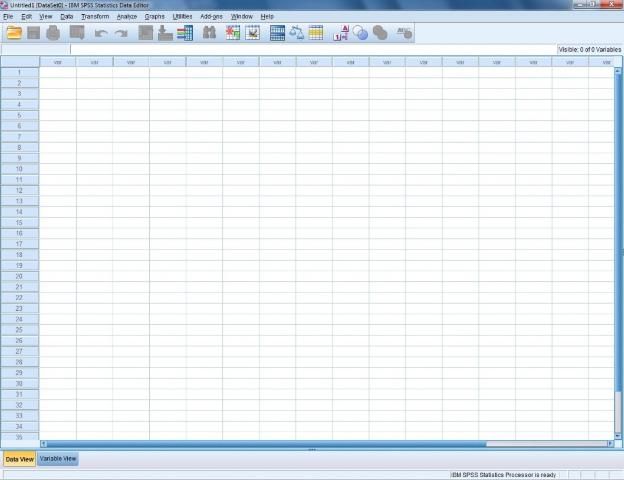 Figure 1. An SPSS spreadsheet.