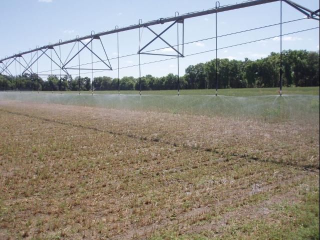 Figure 4. Some products are approved to be applied through irrigation systems.