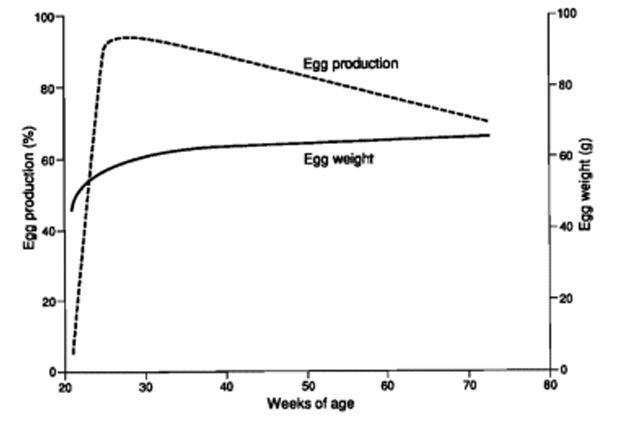 Figure 1. A typical production curve for a laying flock.