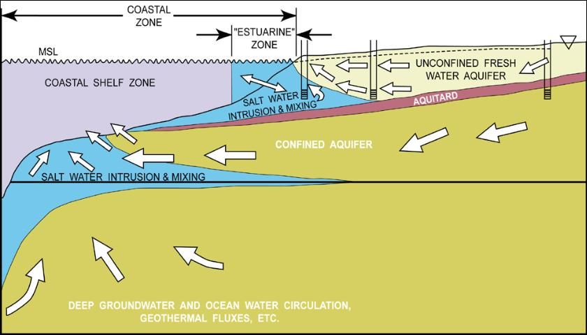 Figure 3. A hydrogeologic cross-section of the interaction between coastal groundwater aquifiers and surface waters.