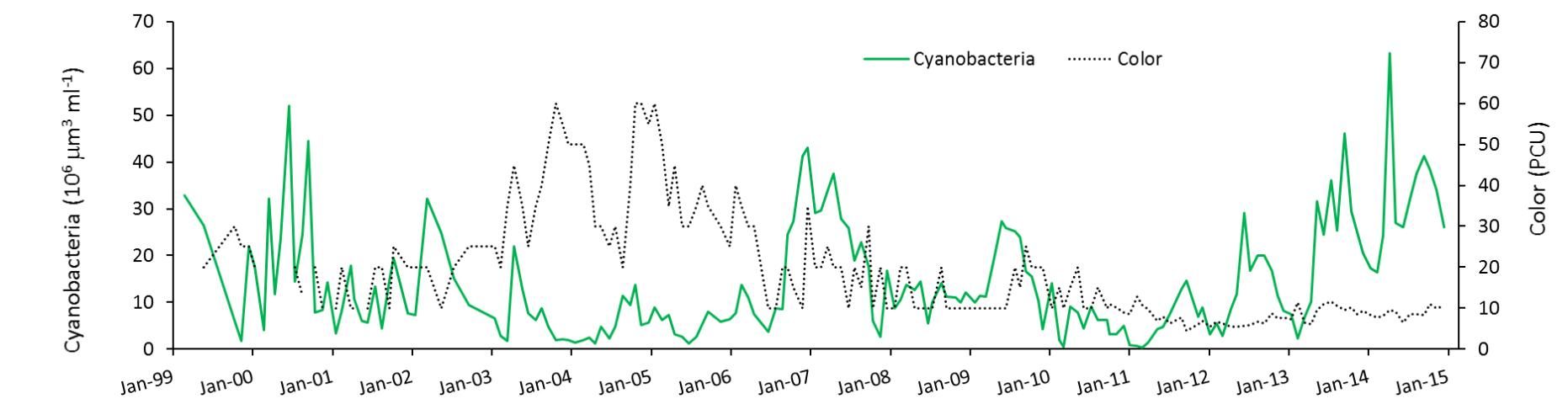 Figure 4. The biomass of cyanobacteria over a period of 15 years in Lake Harris, based on monthly sampling, superimposed on a plot of water color, which represents materials dissolved in the water that can absorb light and slow the growth of algae. Cyanobacteria biomass is reduced during periods when color is higher.