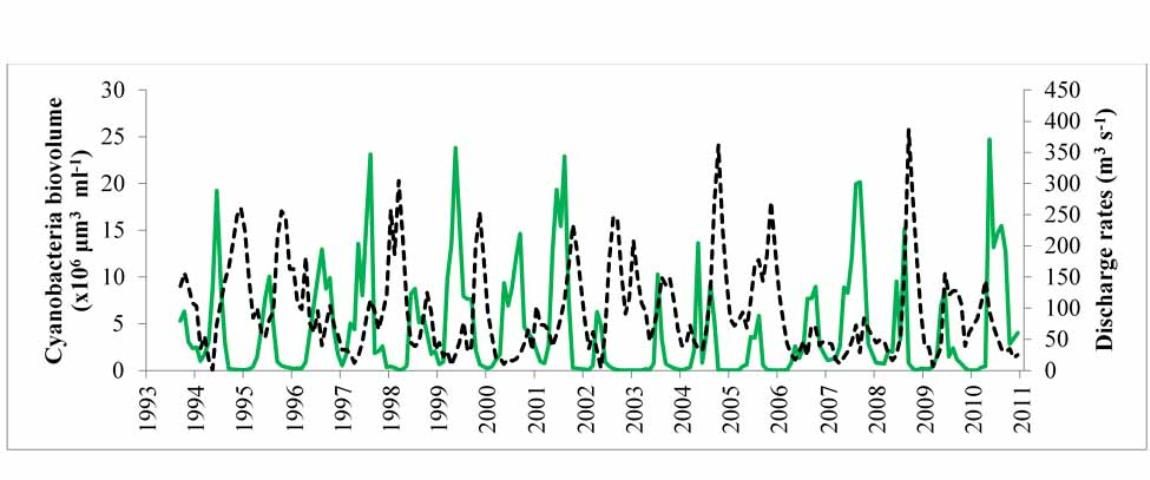 Figure 6. The biomass of cyanobacteria (green line) and discharge rate of water at the lake outflow (dashed black) over a period of 15 years in Lake George, based on monthly sampling.