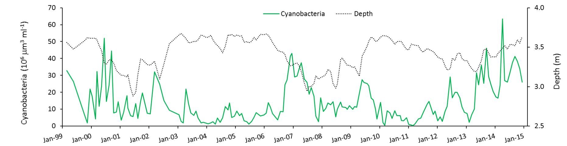 Figure 2. The biomass of cyanobacteria over a period of 15 years in Lake Harris, based on monthly sampling, superimposed on a plot of monthly water levels. Cyanobacteria biomass is lower in high-water periods.