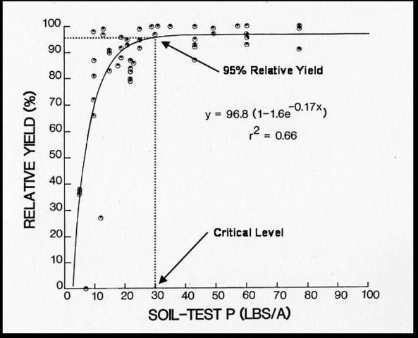 Figure 4. Response of crisphead lettuce to soil-test P levels (Sanchez, 1990).