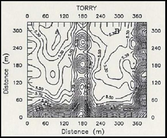 Figure 2a. Contour maps showing infield variability of pH from a Torry and Okeelanta mucks from the EAA (Diaz et al., 1992).