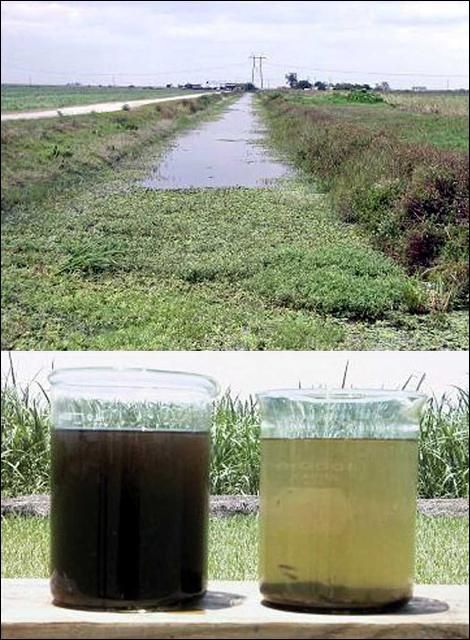 Figure 1. Some effects of high P levels on drainage waters A) proliferation of aquatic vegetation and B) increase in the amount of suspended solids and turbidity.
