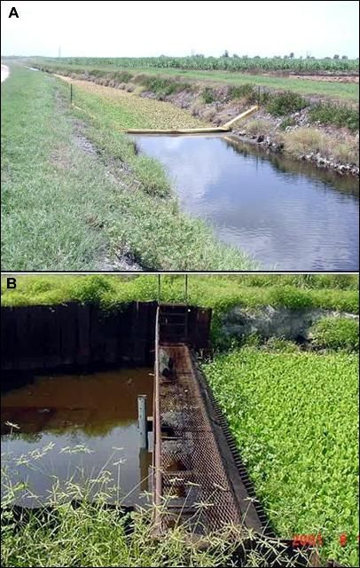 Figure 11. Barreras de retencion (a) y retenedores de basura (b) mantienen malezas aquáticas y otros materiales orgánicos lejos de las bombas de drenaje.
