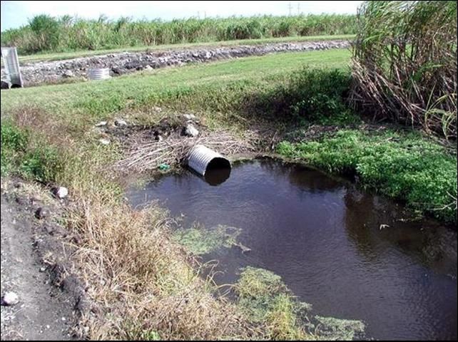 Figure 9. Tubos de drenaje instalados arriba de el fondo de las zanjas de campo reduce el transporte de sedimentos.