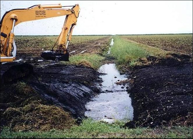Figure 6. Limpieza de suelos y sedimentos acumulados en zanjas de campo.