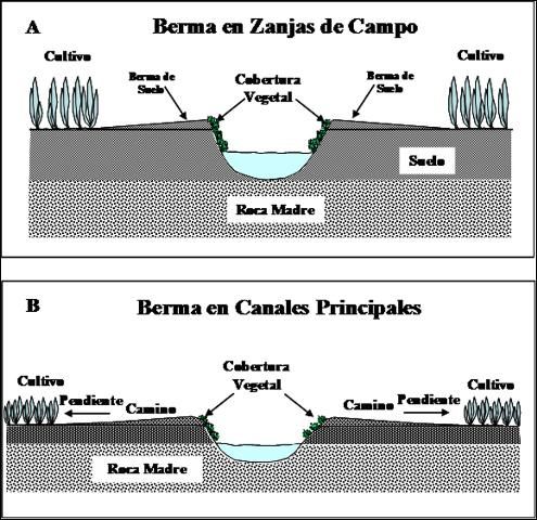 Figure 2. Diagrama esquemático de A) bermas en las orillas de zanjas de campo y B) bermas en las orillas de canales principales.