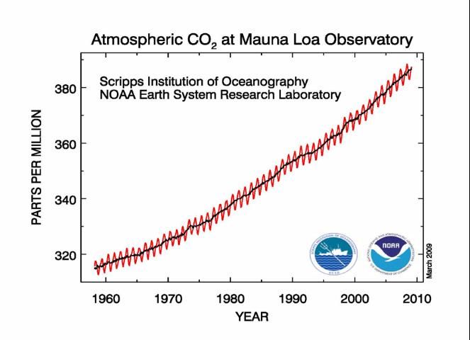 Figure 2. Recent changes in global atmospheric CO2 concentrations.