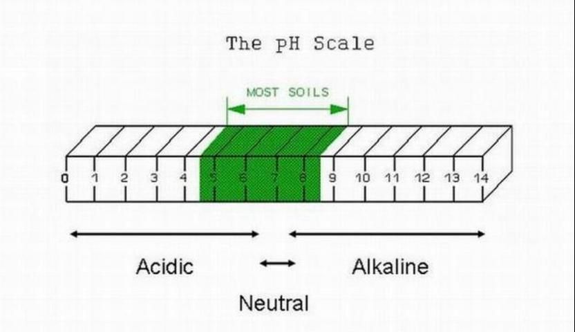 Figure 1. The normal range of soil pH on an acidity-alkalinity scale.