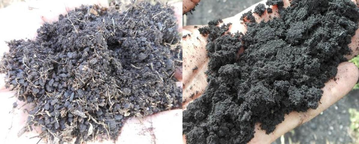 Figure 1. Good structure (left) is illustrated by the presence of many aggregates that allow for water infiltration and good plant rooting, and is often indicative of high organic matter concentrations. Poor structure (right) results in soil that clumps together but breaks apart readily with tillage, does not hold water well, and is an impediment to rooting.