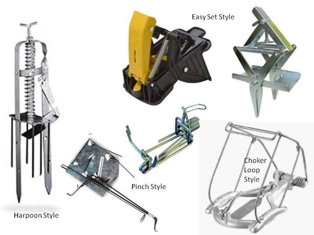 Figure 5. Harpoon traps, pinch or scissor traps, easy-set traps, and choker loop mole traps. Always follow the enclosed instructions for safe use.