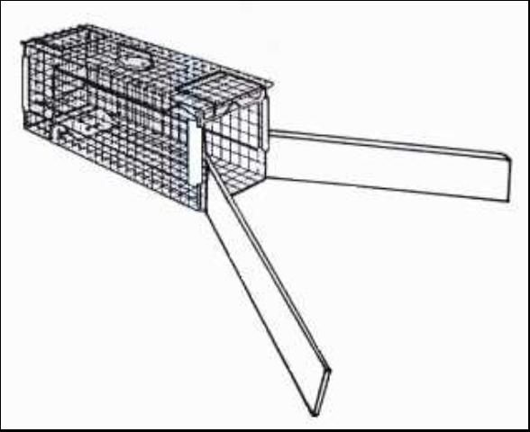 Figure 3.  A live-trap with wings added to help guide the armadillo into the trap