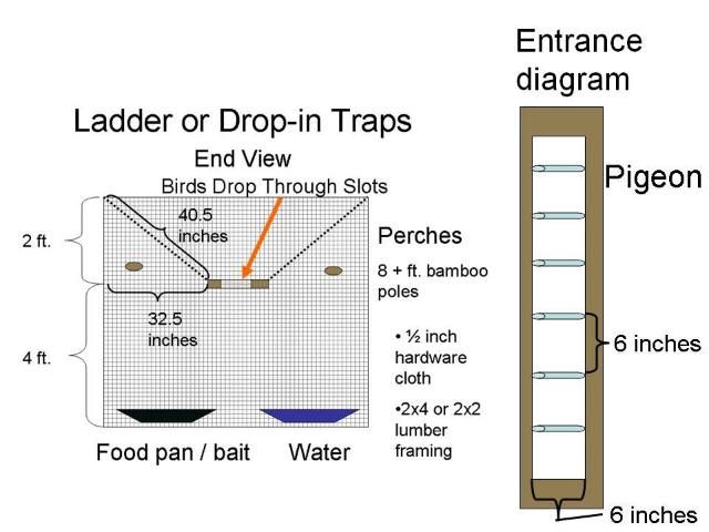 Figure 7. Ladder or Drop-in Trap end view with entrance diagram.