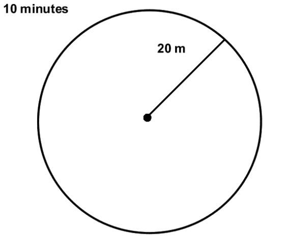 Figure 1. A typical 20 m (m=meter) radius point count where one person counts all the birds seen or heard within a 10 minute period.