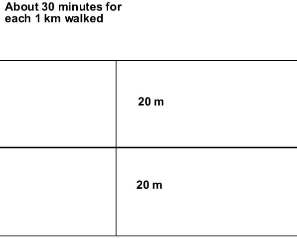 Figure 1. A typical transect survey where a person surveys birds within a 20 meter (m=meter) band on either side of a route. A person counts all the birds seen or heard within a 30 minute period for a 1km route.
