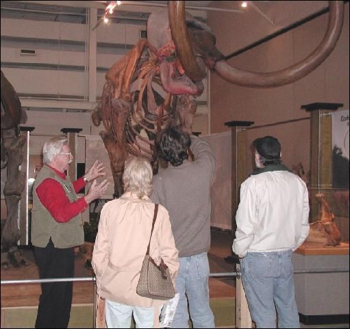 Figure 1. Museum docent, Pope Cheney, interpreting the Tusks exhibit at the University of Florida Museum of Natural History.