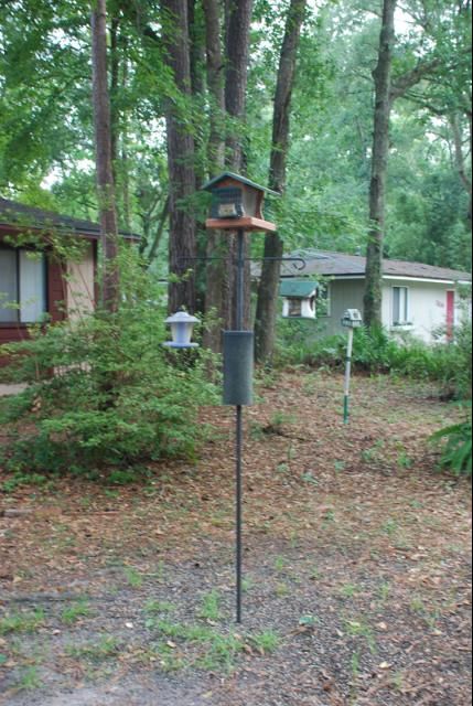Figure 8. A baffle should help keep squirrels away from your feeders.
