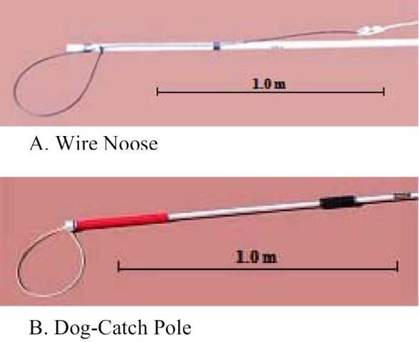 Figure 7. Wire snare attached to PVC pole and dog-catch pole used for capturing crocodilians.