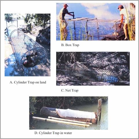 Figure 3. Various types of cage and net traps used for capturing crocodilians.