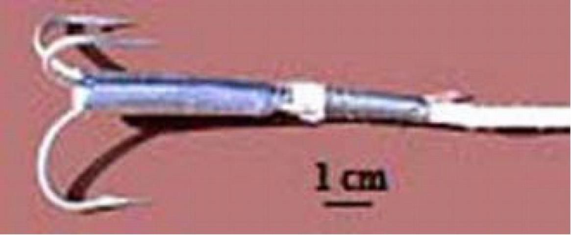Figure 8. Throwable Snatch-Hook used for capturing crocodilians.