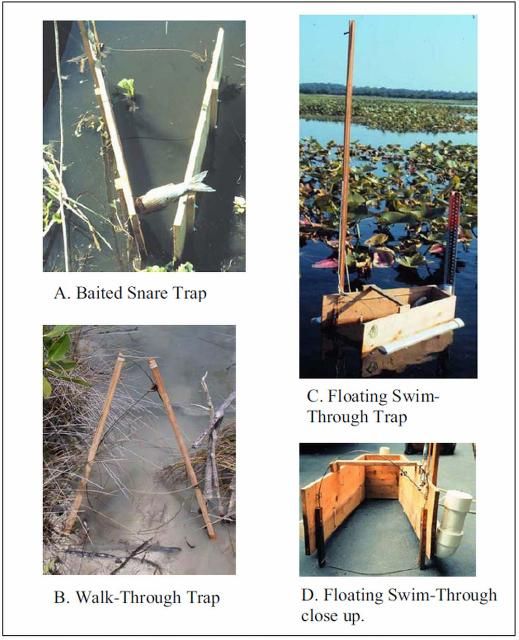 Figure 4. Examples of walk-through and swim-through snare traps.